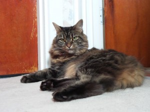 20130911_172804.jpg