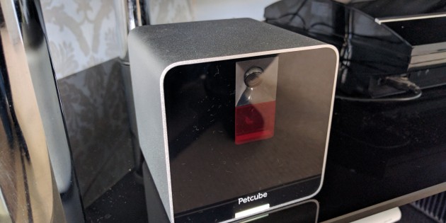 Petcube Camera Review