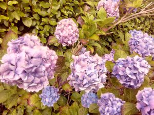 IMG_20160814_163641